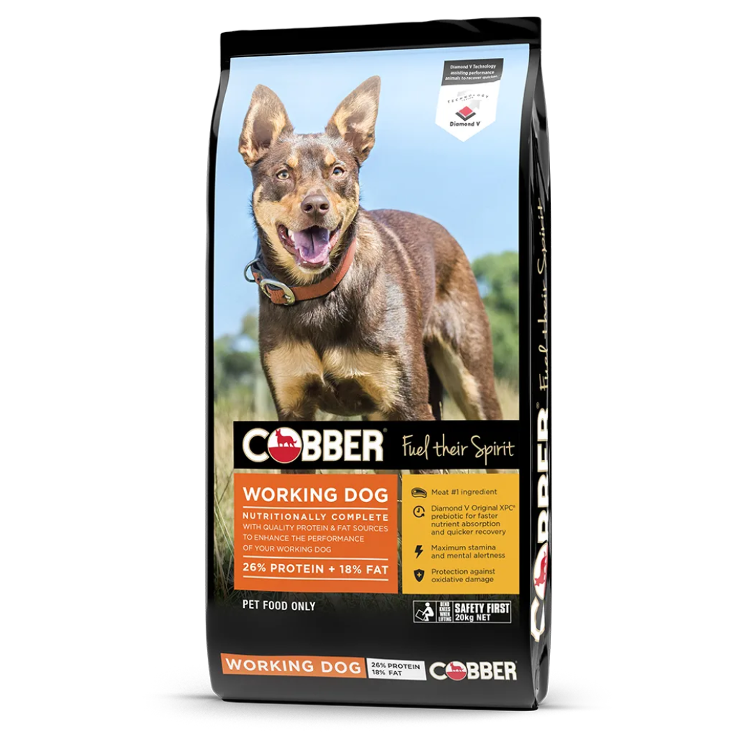 Cobber Working Dog 20kg