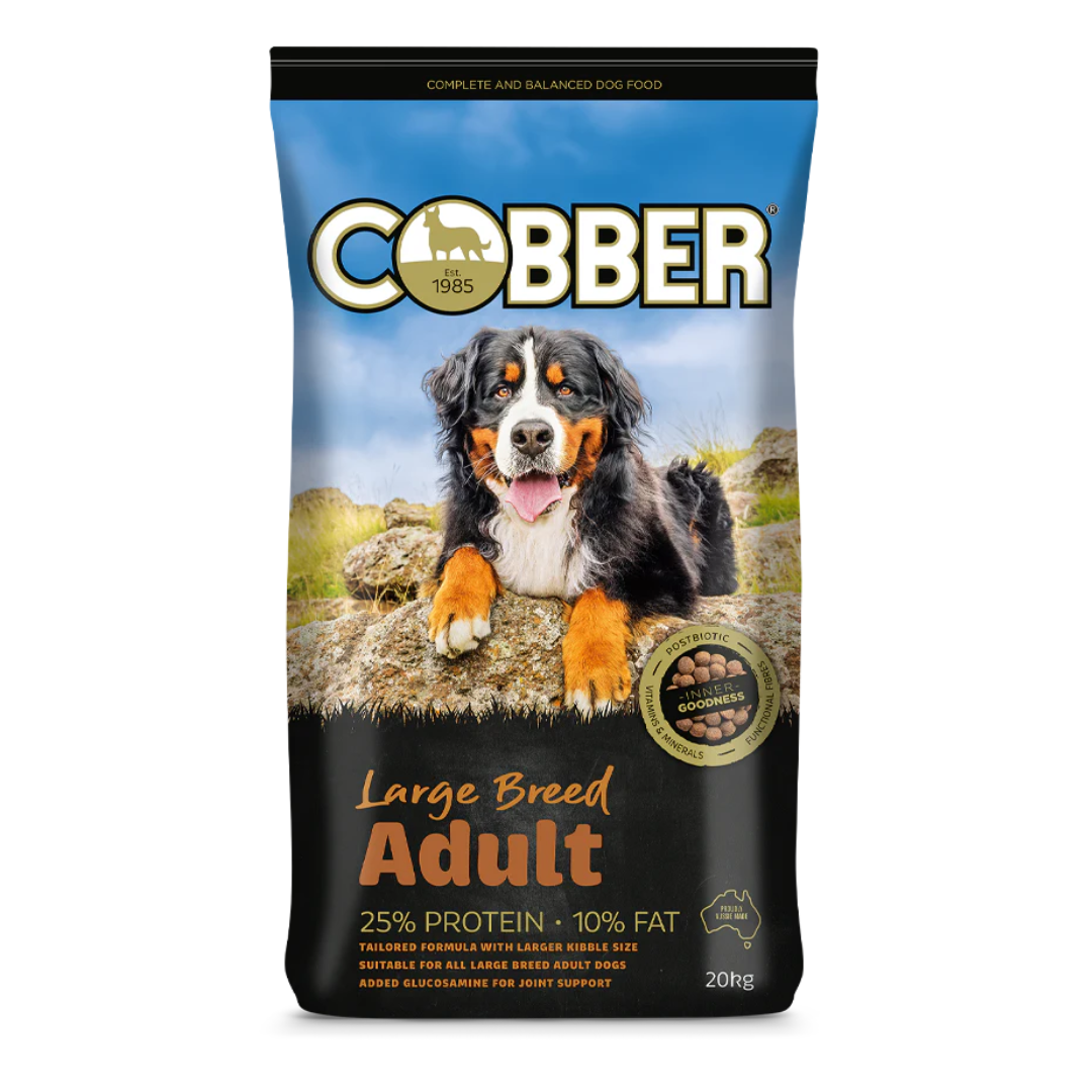 Cobber Large Breed Adult