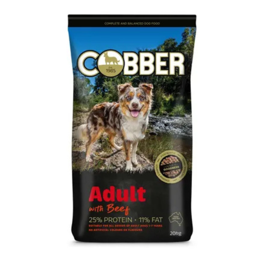 COBBER Adult with Beef 20kg (36)
