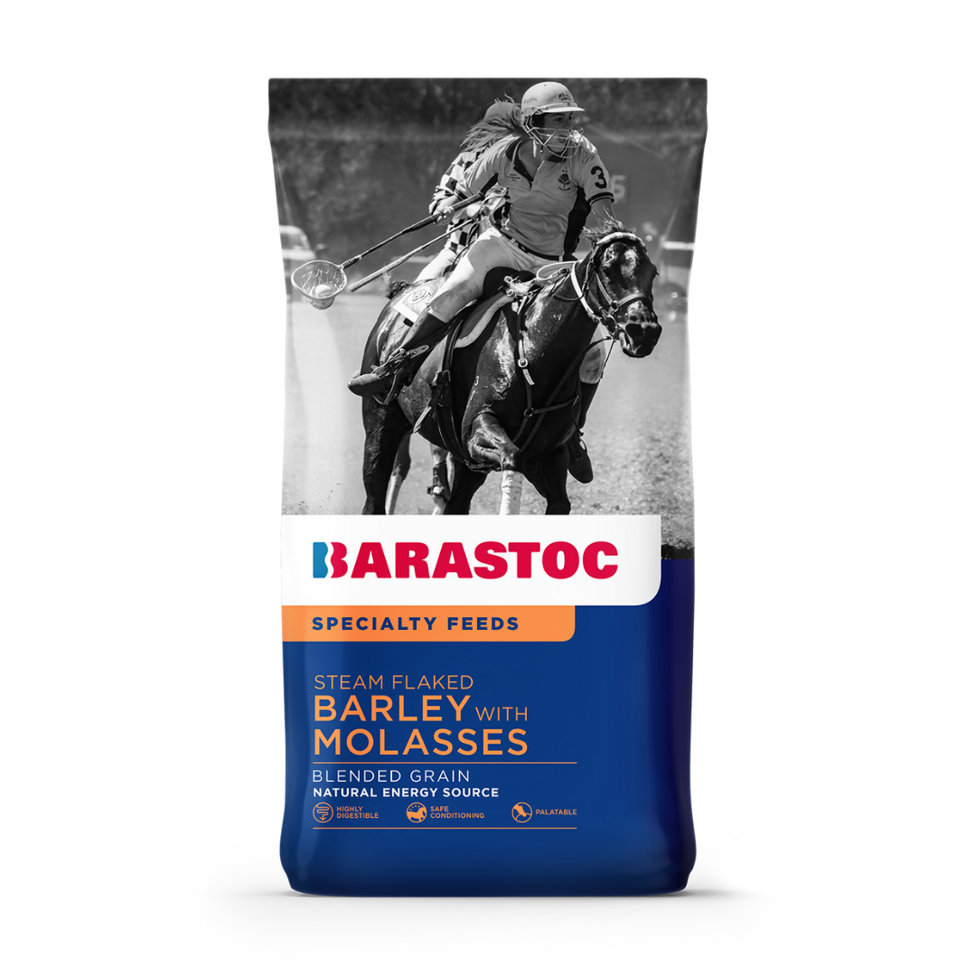 Steamed Flaked Barley & Molasses